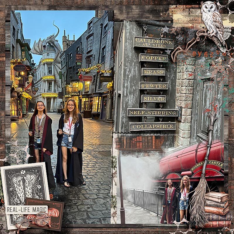 Wizarding World