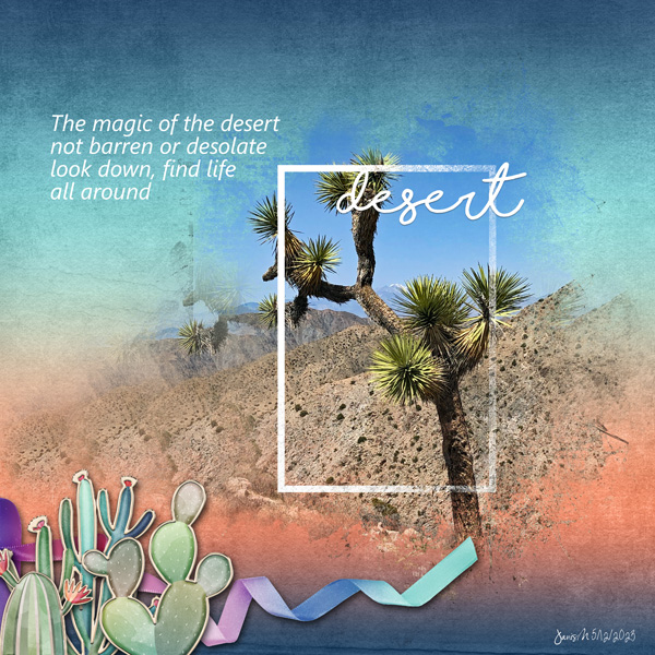 Wk 2_landscape Desert