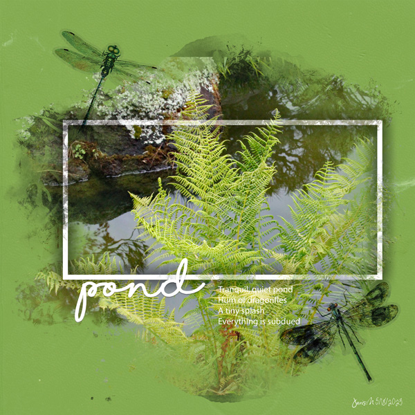 Wk 3_landscape_pond