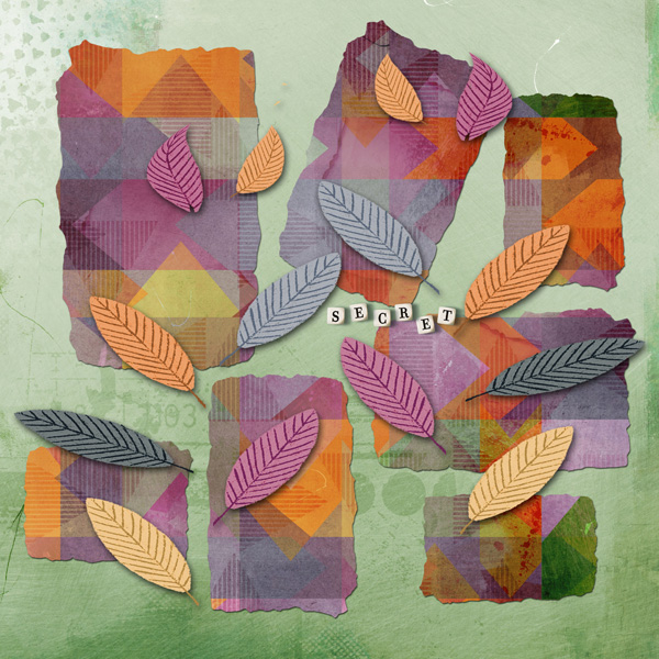 Wk1_rectanglesleaves_Aug_janisn