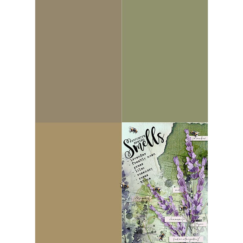 WK3 - SMELL