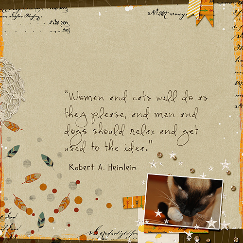 Women and cats