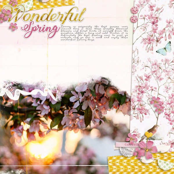 Wondeful Spring