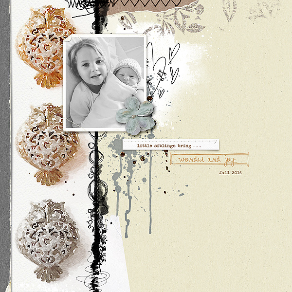 Wonder and jOy