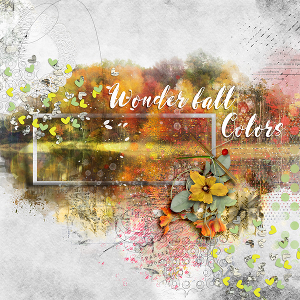 Wonder Fall Colors