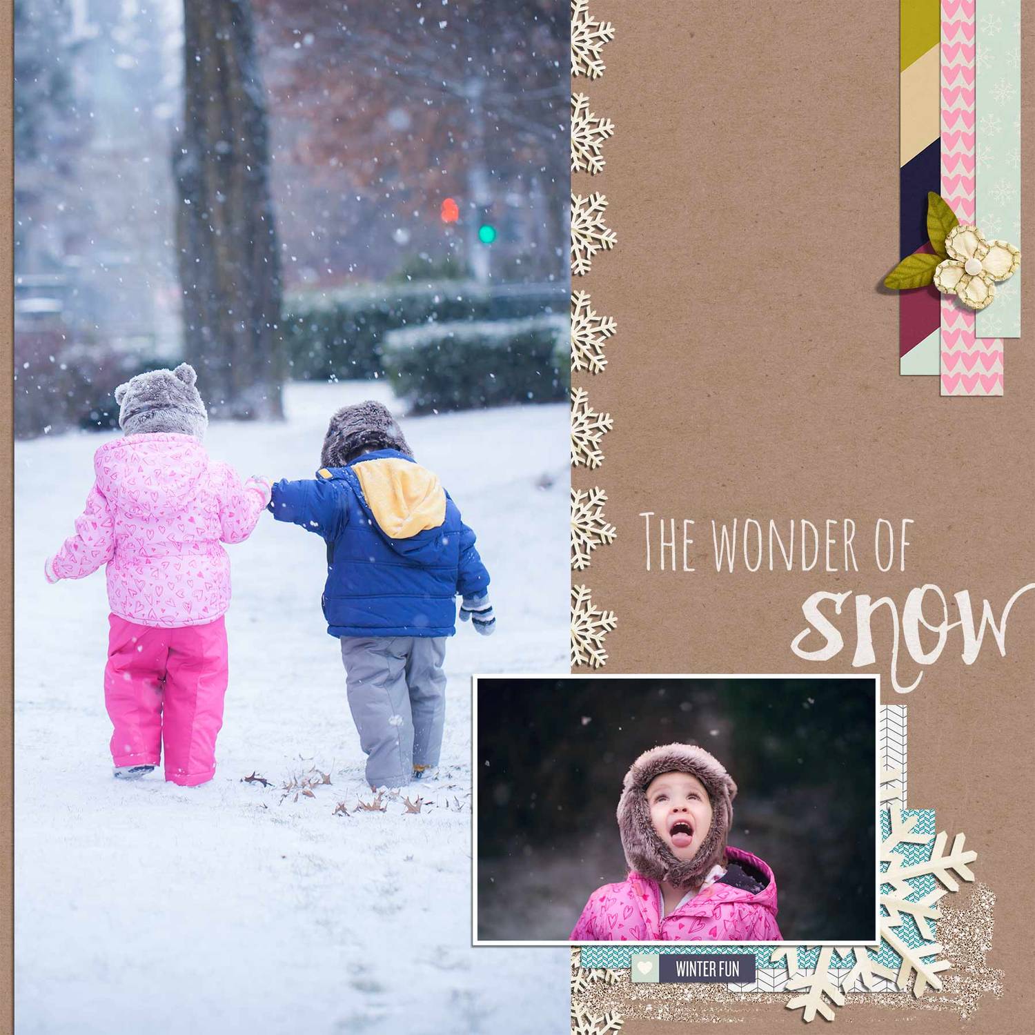 Wonder of Snow