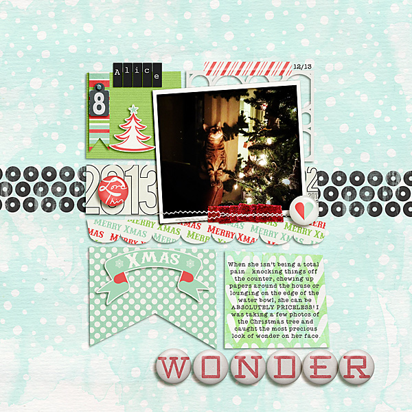 Wonder