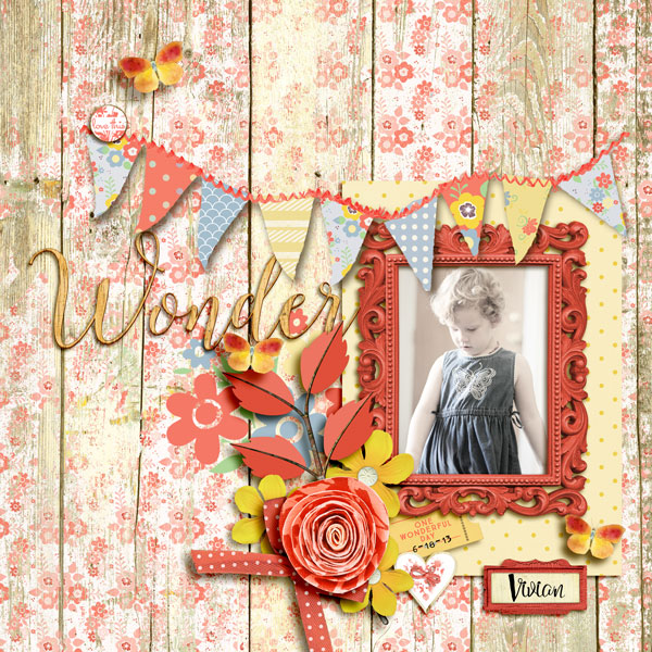 Wonder
