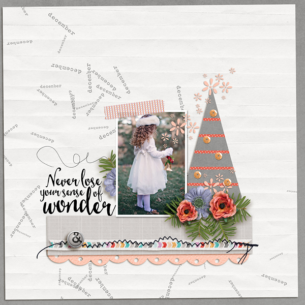 Wonder