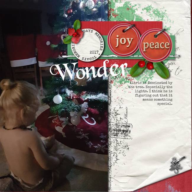 Wonder