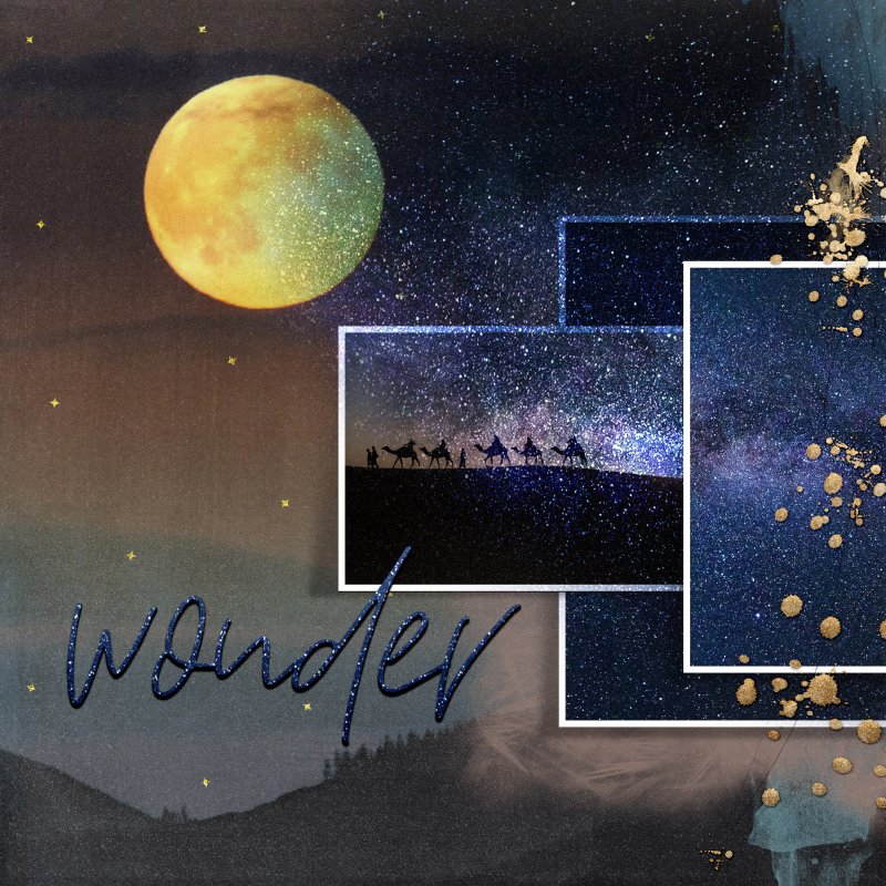 Wonder