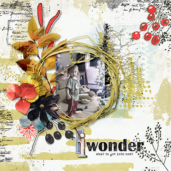 Wonder