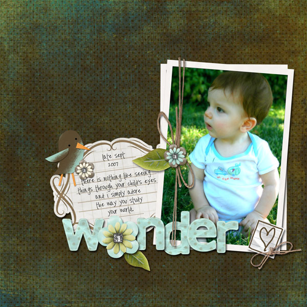 wonder