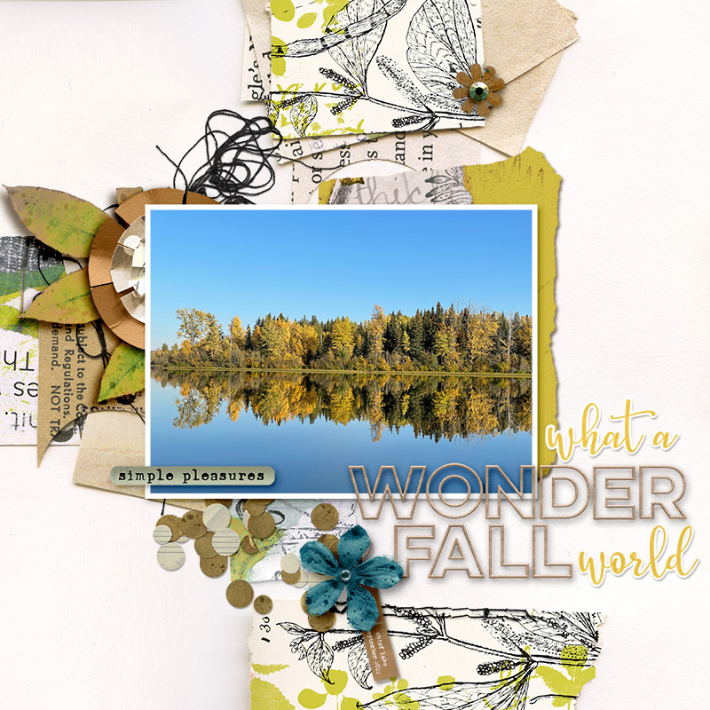 Wonderfall