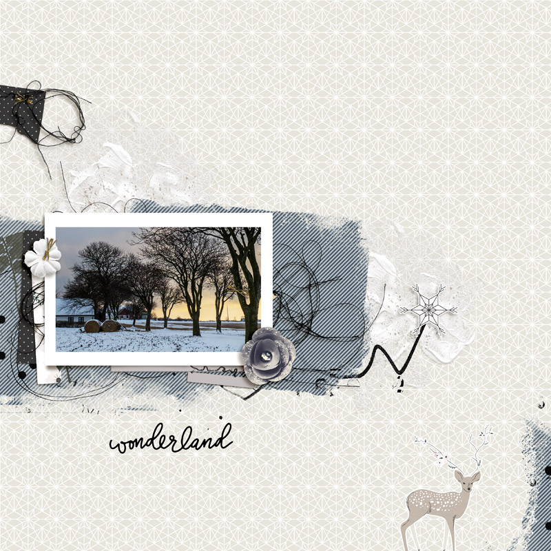 Wonderland