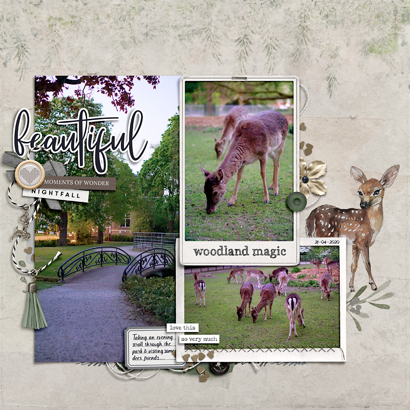 Woodland Magic