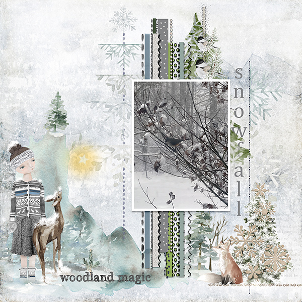 Woodland Magic