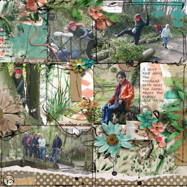 Woodland Path Walk