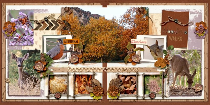 Woodland Walks (Left and Right)