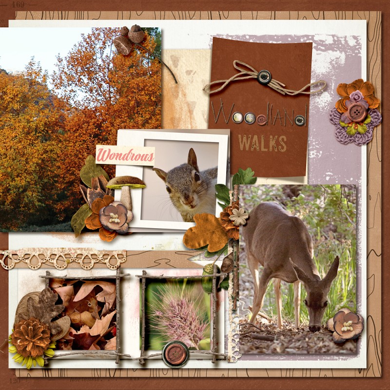Woodland Walks (Right)