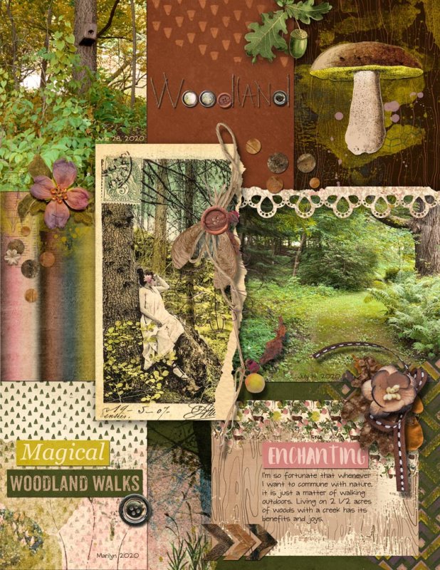 Woodland Walks