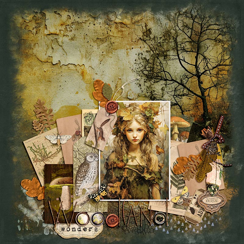 WOODLAND WONDERS