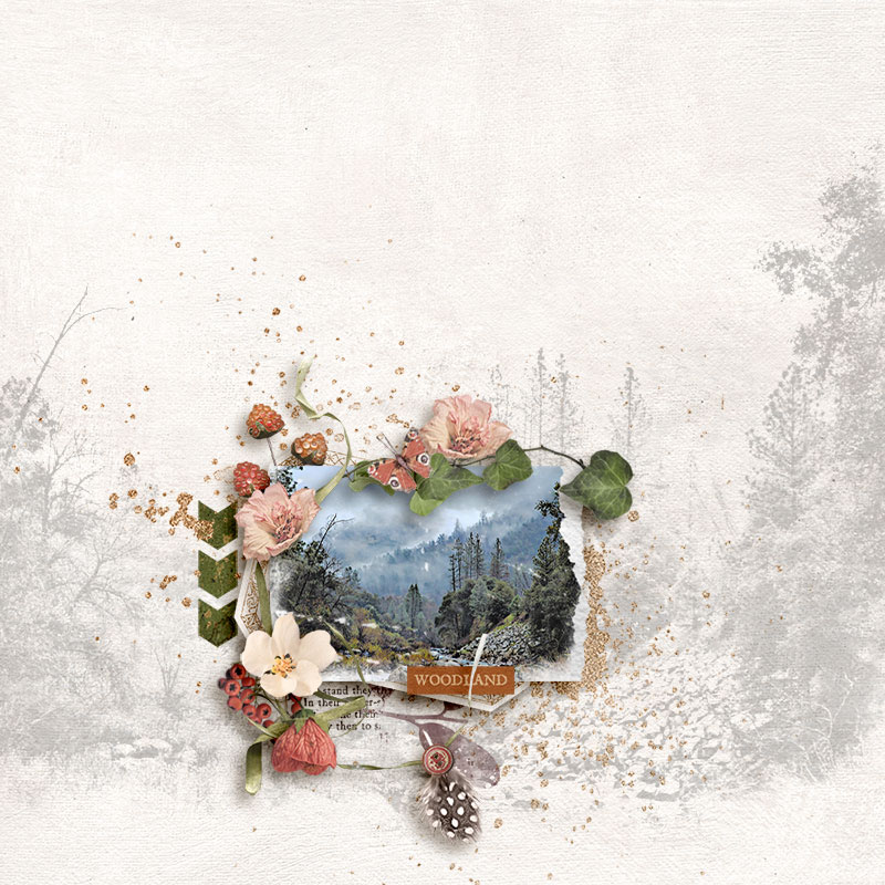 woodland