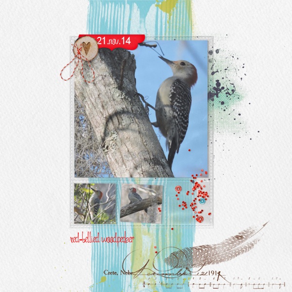 woodpecker