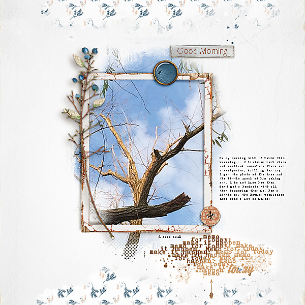 Woodpecker