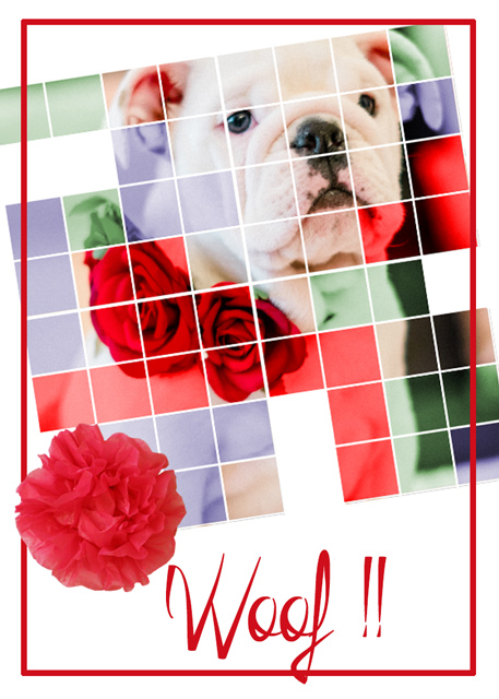 Woof!!