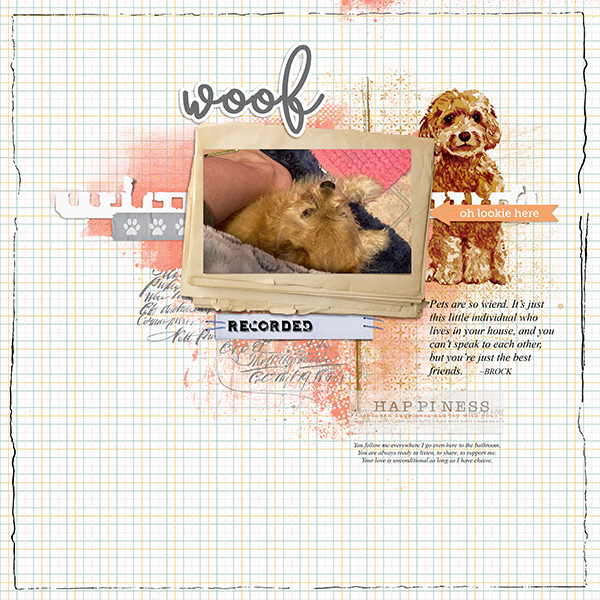 Woof