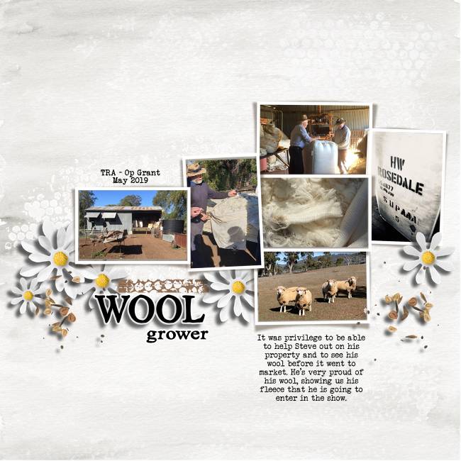 Wool-grower