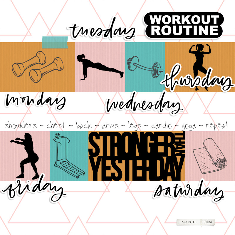 Workout Routine