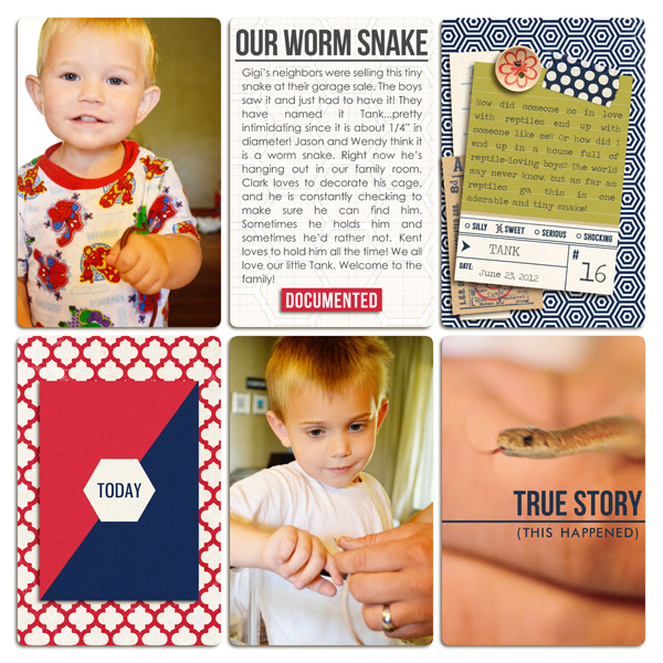 Worm Snake
