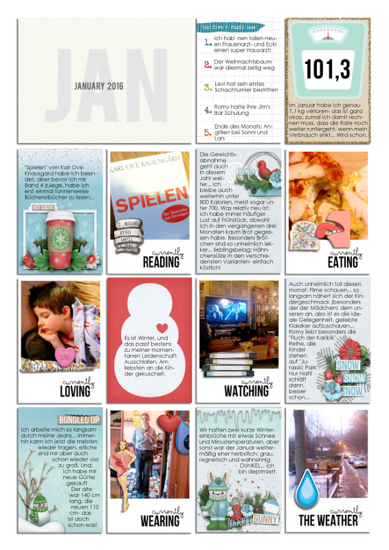 Wrap Up January 2016