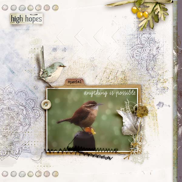 Wren