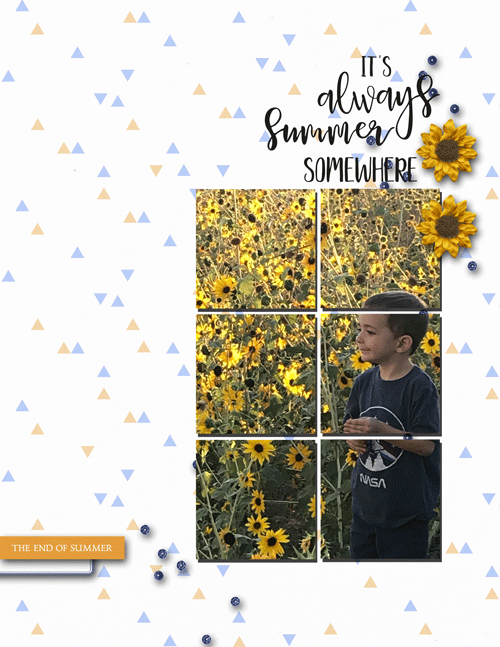Wyatt-sunflowers-web