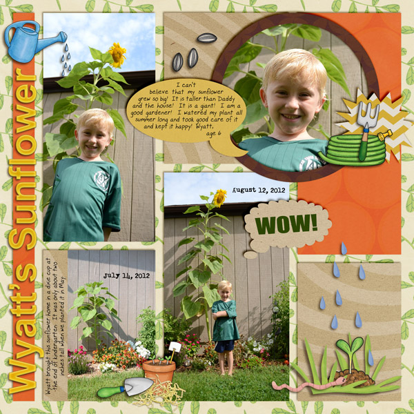 Wyatts Sunflower