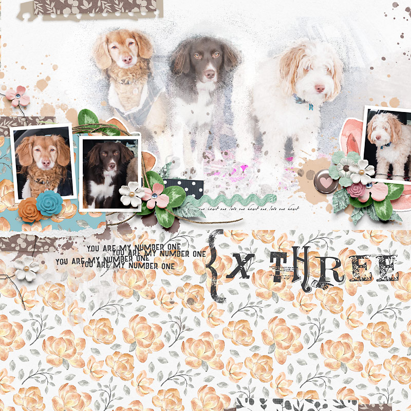 X Three