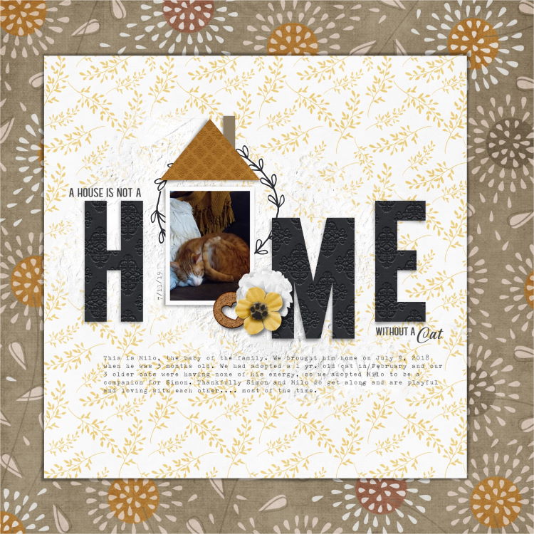XL Slow Scrap - Nov 19