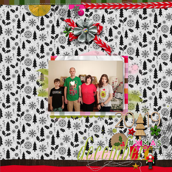 xmas fam pic 2019
