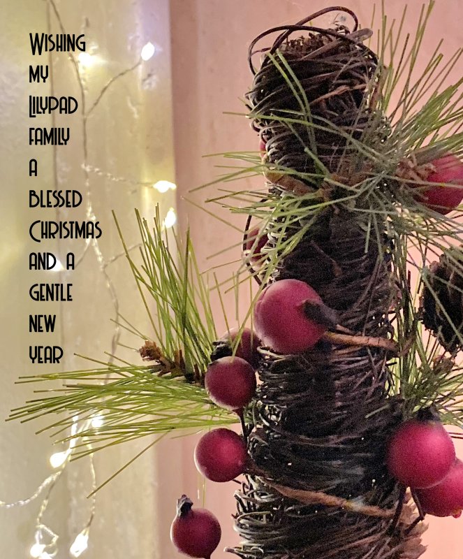 Xmasgreeting-Lilypad