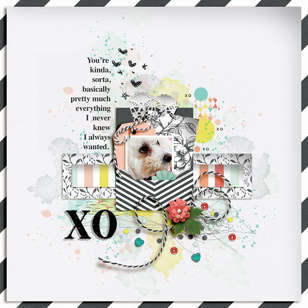 XO