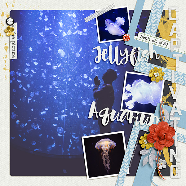 Yamagata Kamo Jellyfish Aquarium