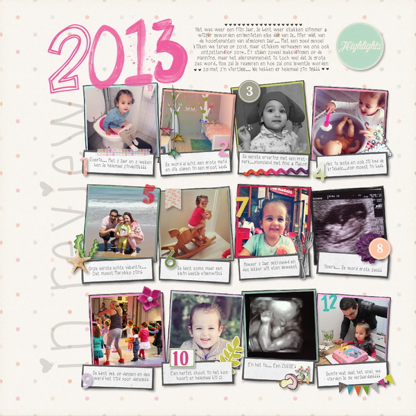 Year in review 2013