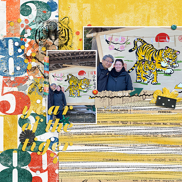 Year of the tiger