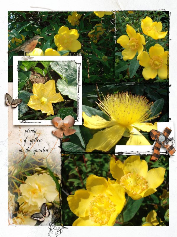 Yellow in the garden