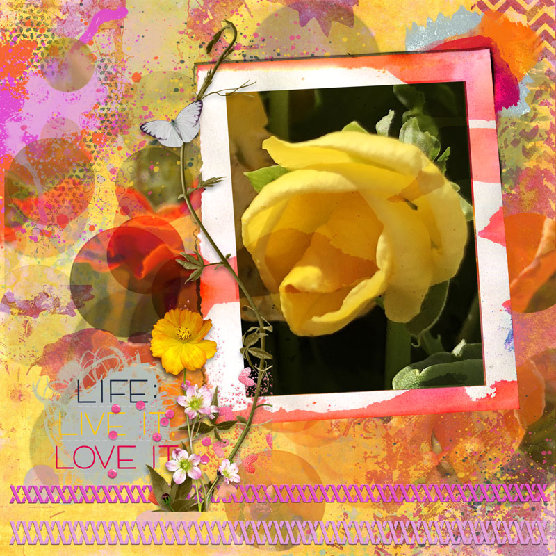 Yellow Rose