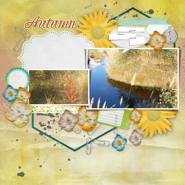 YellowDays_CampOut