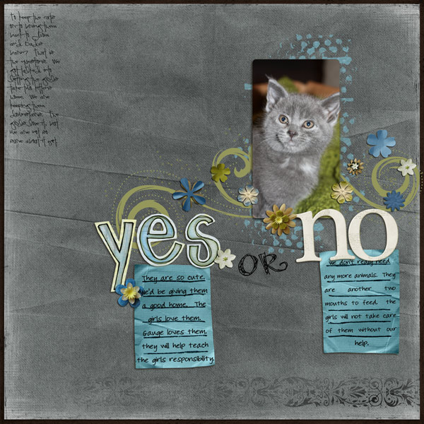 Yes or No - Kitten